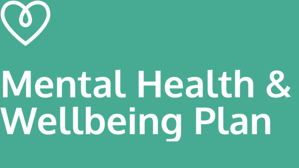 Response to call for evidence on the mental health and wellbeing plan